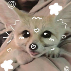 Source: profile picture from 2025-05-26