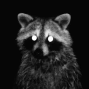 Source: profile picture from 2026-04-27
