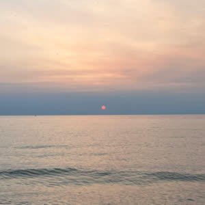 Source: profile picture from 2025-06-09