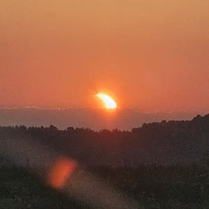 Source: profile picture from 2026-08-20