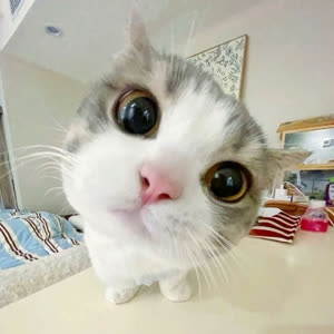 Source: profile picture from 2025-06-12