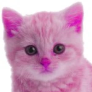 Source: profile picture from 2024-01-29