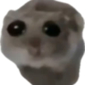 Source: profile picture from 2025-09-04