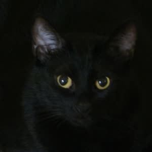 Source: profile picture from 2026-01-19