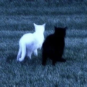 Source: profile picture from 2025-06-05