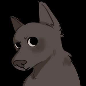 Source: profile picture from 2024-09-30