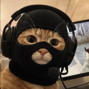 Source: profile picture from 2026-01-19