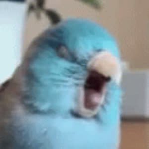 Source: profile picture from 2022-11-21