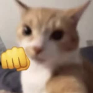 Source: profile picture from 2025-05-26