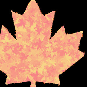 Source: profile picture from 2022-11-20