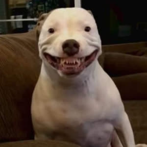 Source: profile picture from 2025-09-29