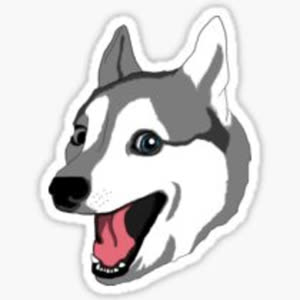 Source: profile picture from 2022-11-20