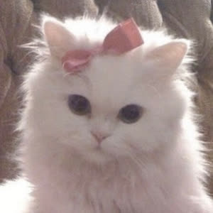 Source: profile picture from 2025-09-04