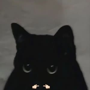 Source: profile picture from 2025-01-23