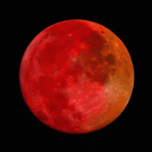 Source: profile picture from 2024-10-31