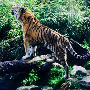 Source: profile picture from 2022-11-20