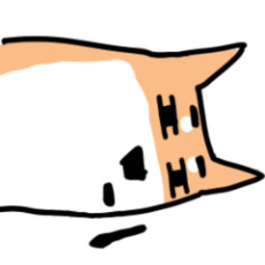 Source: profile picture from 2025-05-26