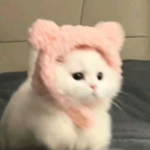 Source: profile picture from 2025-05-26