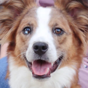 Source: profile picture from 2023-06-22