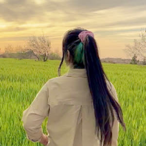 Source: profile picture from 2024-11-25