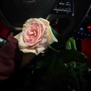 Source: profile picture from 2025-10-09