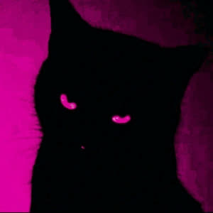 Source: profile picture from 2026-01-19