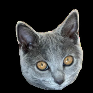Source: profile picture from 2026-04-13