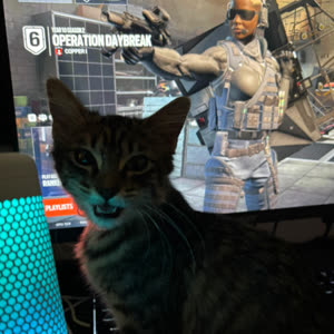 Source: profile picture from 2025-09-04