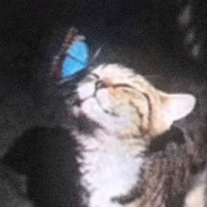 Source: profile picture from 2026-05-21