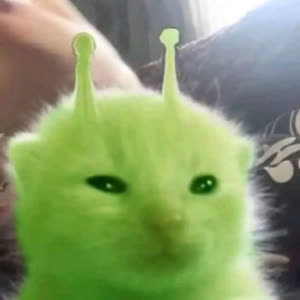 Source: profile picture from 2025-09-04