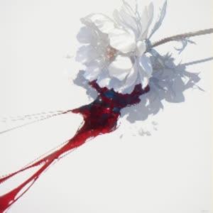 Source: profile picture from 2025-05-26