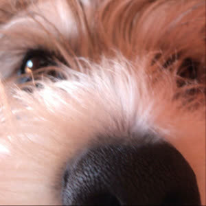 Source: profile picture from 2022-11-21