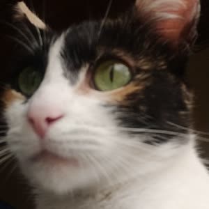 Source: profile picture from 2023-04-10