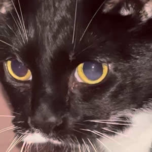 Source: profile picture from 2025-09-11