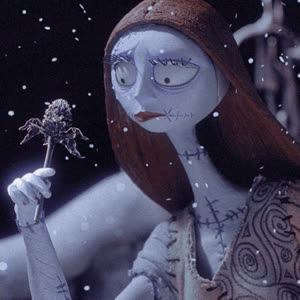 Source: profile picture from 2026-01-19