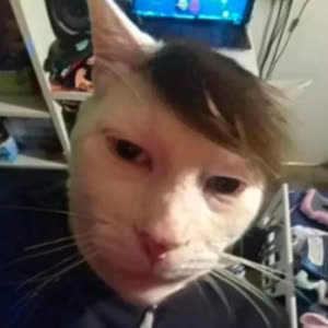 Source: profile picture from 2024-12-30
