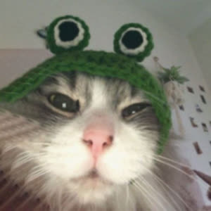 Source: profile picture from 2024-02-26