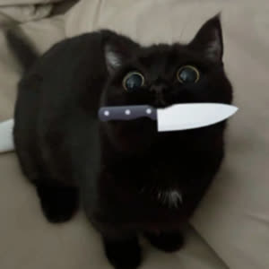 Source: profile picture from 2025-05-26