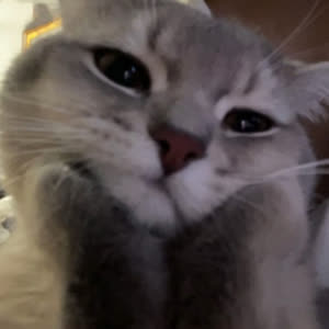 Source: profile picture from 2025-06-09