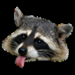 Source: profile picture from 2024-02-15