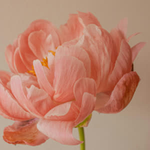 Source: profile picture from 2026-04-13