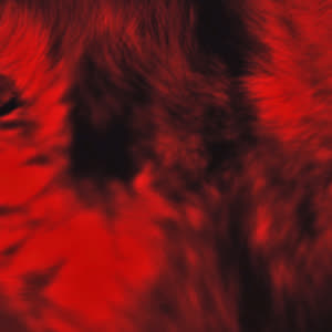 Source: profile picture from 2022-12-19
