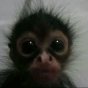 Source: profile picture from 2025-01-30