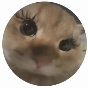 Source: profile picture from 2026-09-14