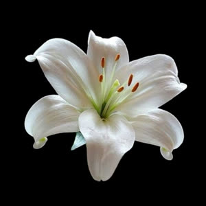 Source: profile picture from 2025-09-11