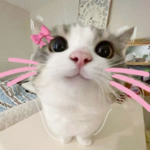 Source: profile picture from 2025-06-02