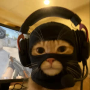 Source: profile picture from 2025-05-26