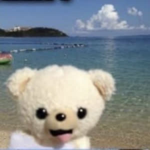 Source: profile picture from 2025-05-26