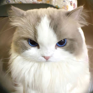 Source: profile picture from 2024-12-09
