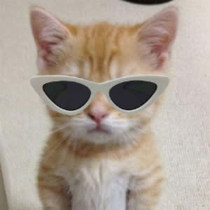 Source: profile picture from 2026-07-06